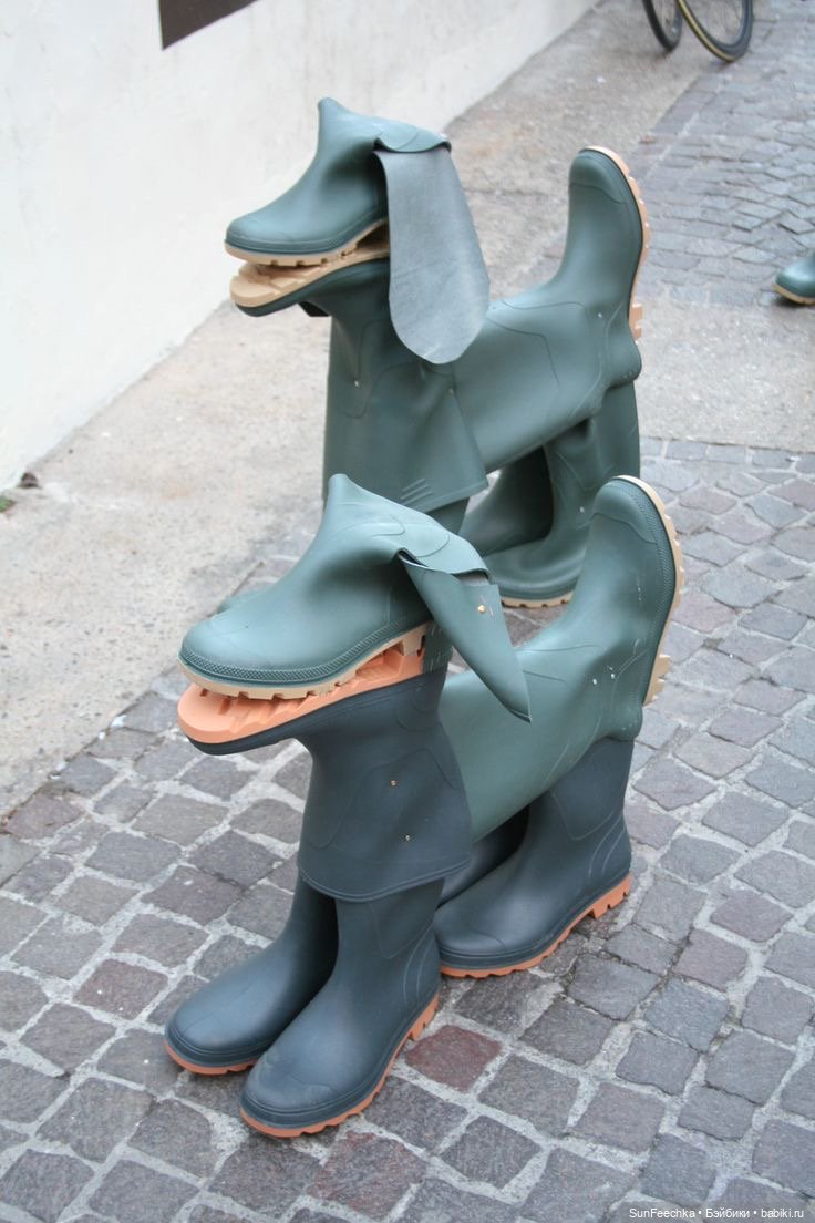 Фантазии — В мире животных: смешные фото питомцев и зверей