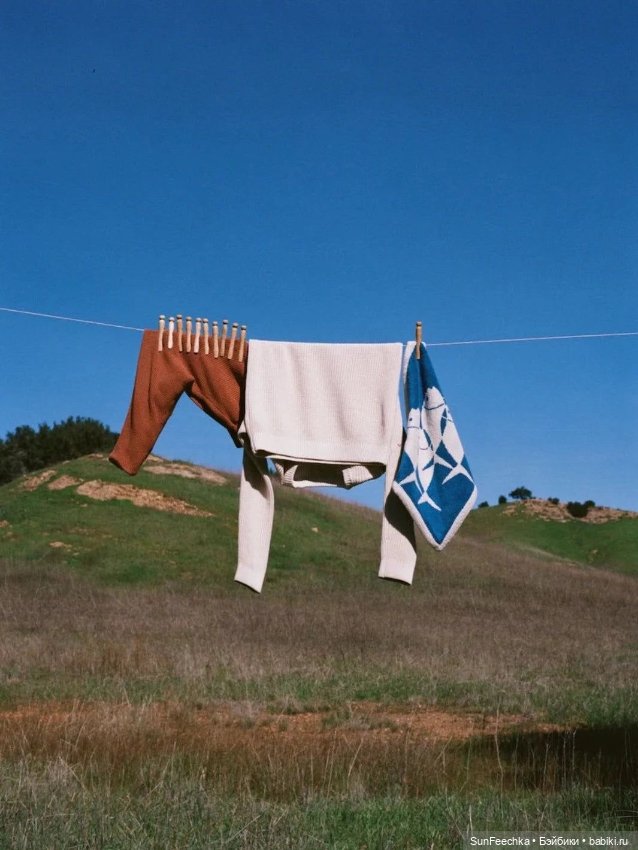 Фантазии — В мире животных: смешные фото питомцев и зверей (фото 4)