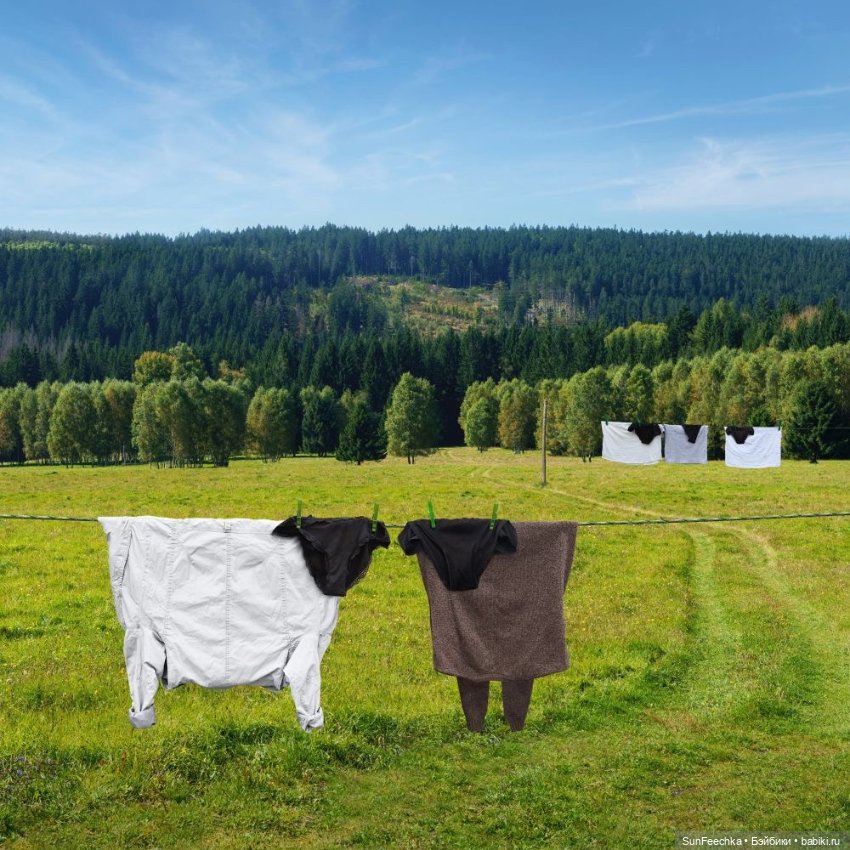 Фантазии — В мире животных: смешные фото питомцев и зверей