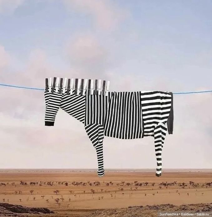 Фантазии — В мире животных: смешные фото питомцев и зверей (фото 5)