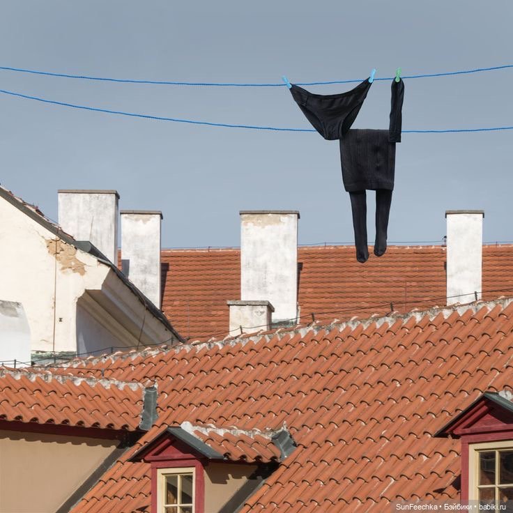 Фантазии — В мире животных: смешные фото питомцев и зверей