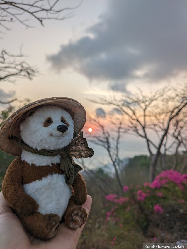 Панда — Авторские мишки Тедди и друзья: фото