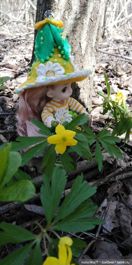 Цветочная Гномочка в весеннем лесу