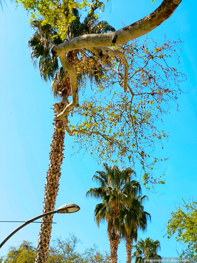 Каникулы Громовых. Портовые города на Мраморном море