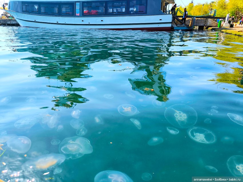 Каникулы Громовых. Портовые города на Мраморном море