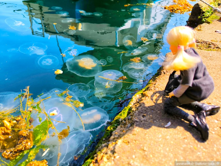 Каникулы Громовых. Портовые города на Мраморном море