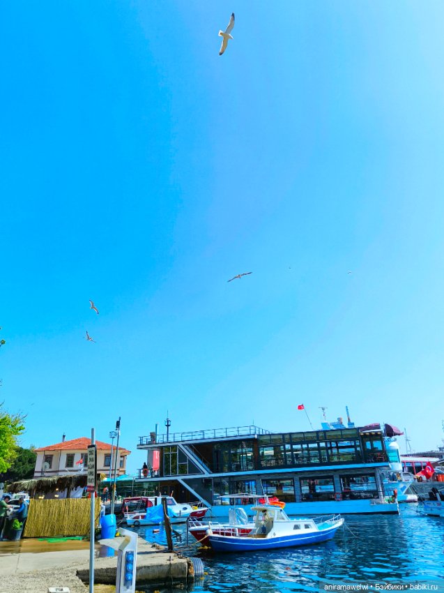 Каникулы Громовых. Портовые города на Мраморном море