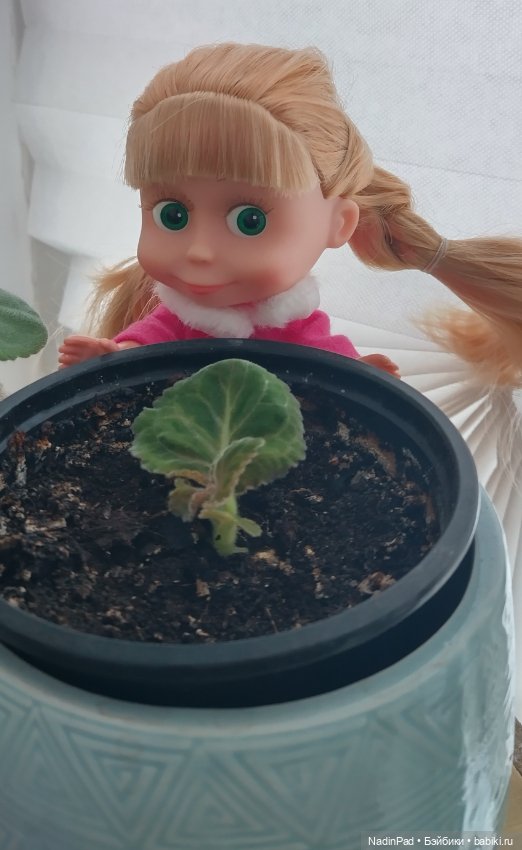 Маша-цветочница — Куклы Маша и Медведь (Simba): Маша в кармашке (фото 4)