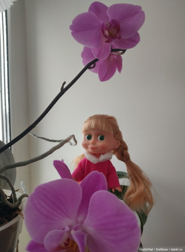 Маша-цветочница — Куклы Маша и Медведь (Simba): Маша в кармашке (фото 3)