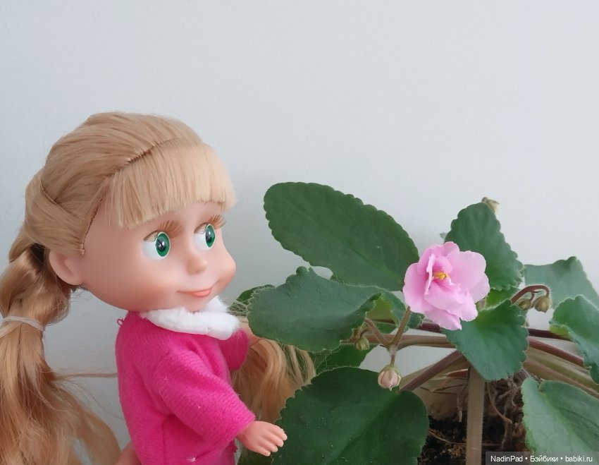 Маша-цветочница — Куклы Маша и Медведь (Simba): Маша в кармашке (фото 2)