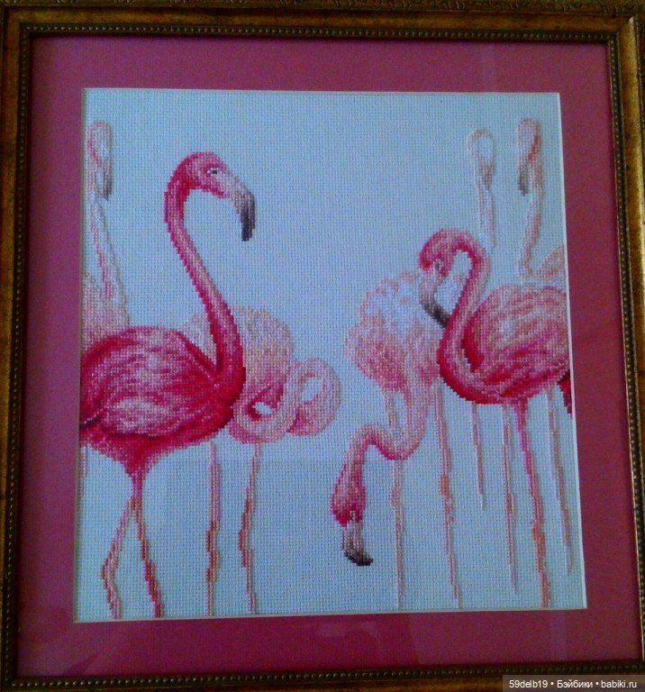 Всякий дурак красному рад😝