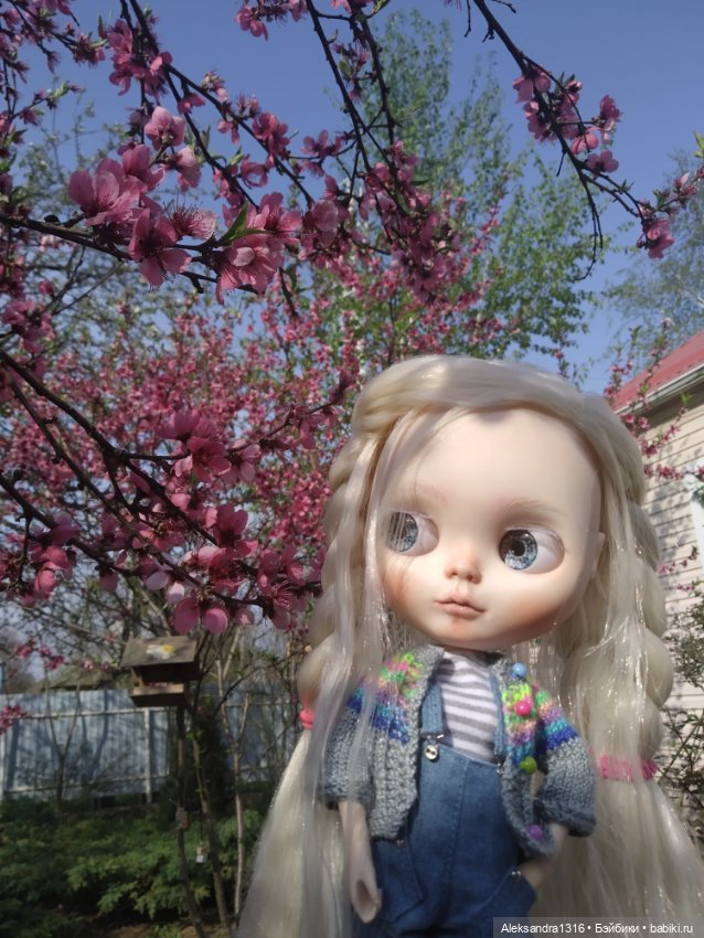 БлайзоВесна🌸🌸🌸🌸🌸🌸 — Куклы Blythe (Блайз) ООАК: кастом