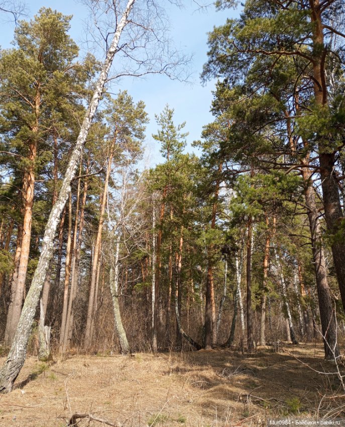 Весенняя прогулка Defaчек