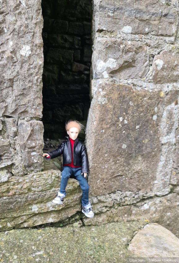 Лео-эмигрант из Поднебесной, на изумрудном острове