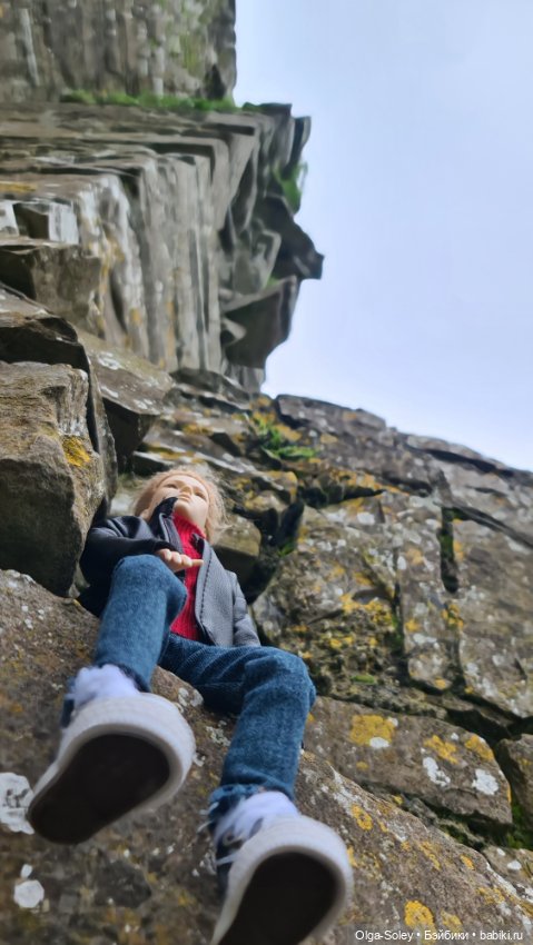 Лео-эмигрант из Поднебесной, на изумрудном острове (фото 9)