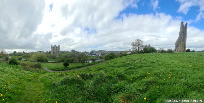 Лео-эмигрант из Поднебесной, на изумрудном острове