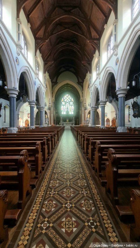 Лео-эмигрант из Поднебесной, на изумрудном острове