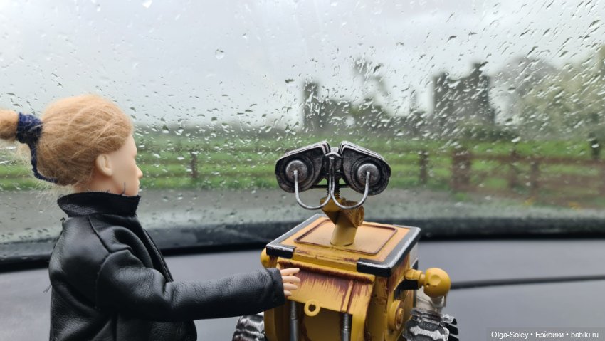 Лео-эмигрант из Поднебесной, на изумрудном острове (фото 10)