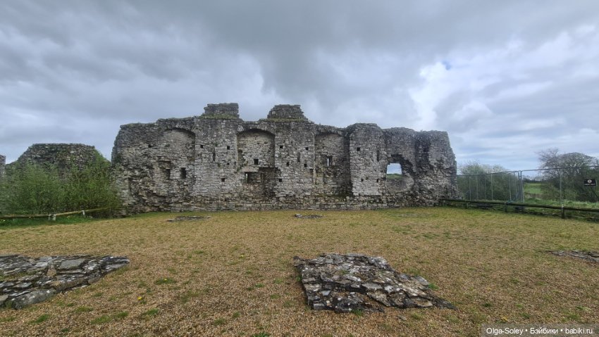 Лео-эмигрант из Поднебесной, на изумрудном острове