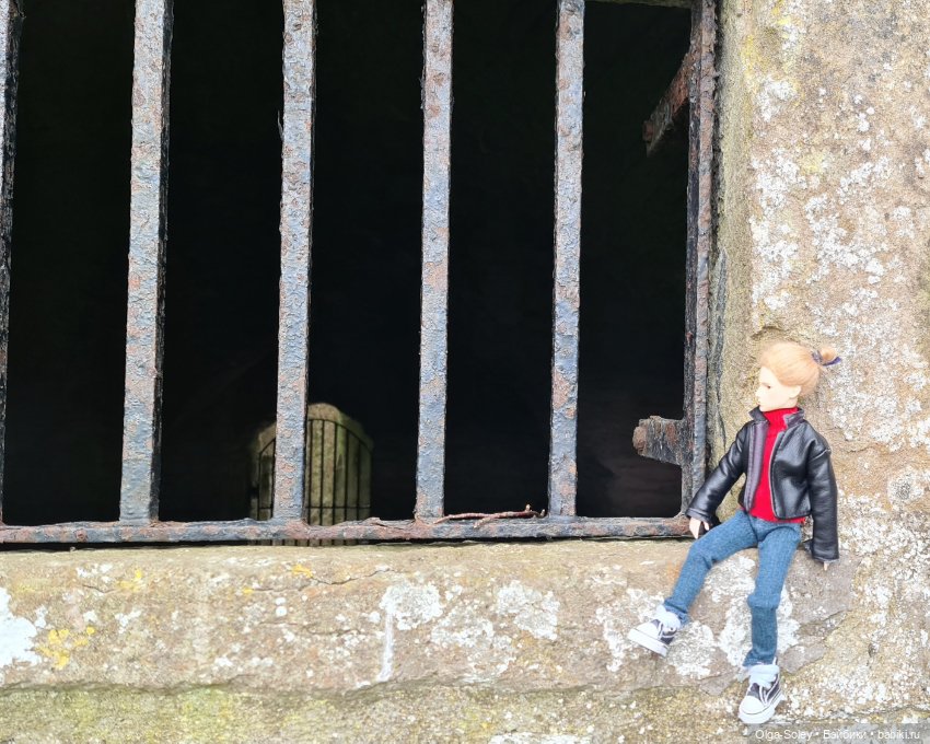 Лео-эмигрант из Поднебесной, на изумрудном острове (фото 2)