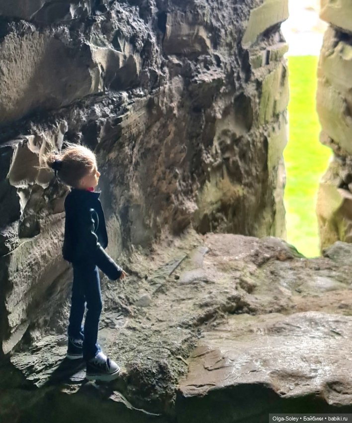 Лео-эмигрант из Поднебесной, на изумрудном острове