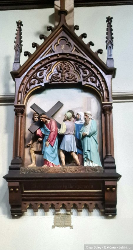 Лео-эмигрант из Поднебесной, на изумрудном острове