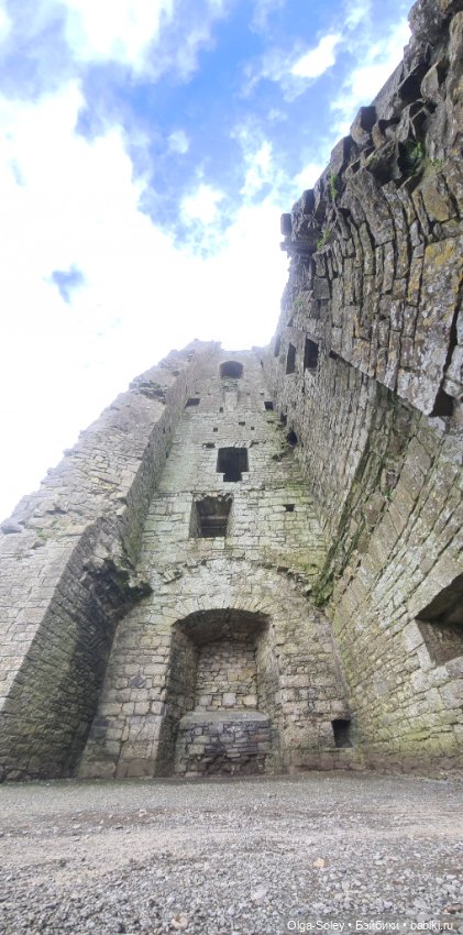 Лео-эмигрант из Поднебесной, на изумрудном острове