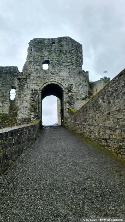 Лео-эмигрант из Поднебесной, на изумрудном острове