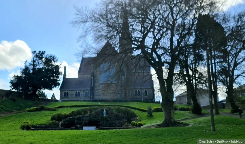 Лео-эмигрант из Поднебесной, на изумрудном острове