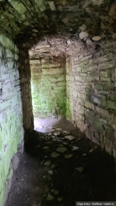 Лео-эмигрант из Поднебесной, на изумрудном острове