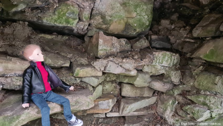 Лео-эмигрант из Поднебесной, на изумрудном острове (фото 5)