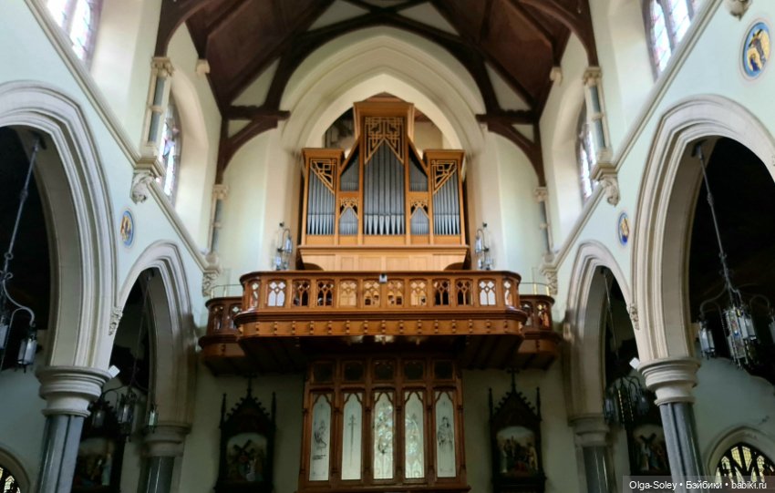 Лео-эмигрант из Поднебесной, на изумрудном острове