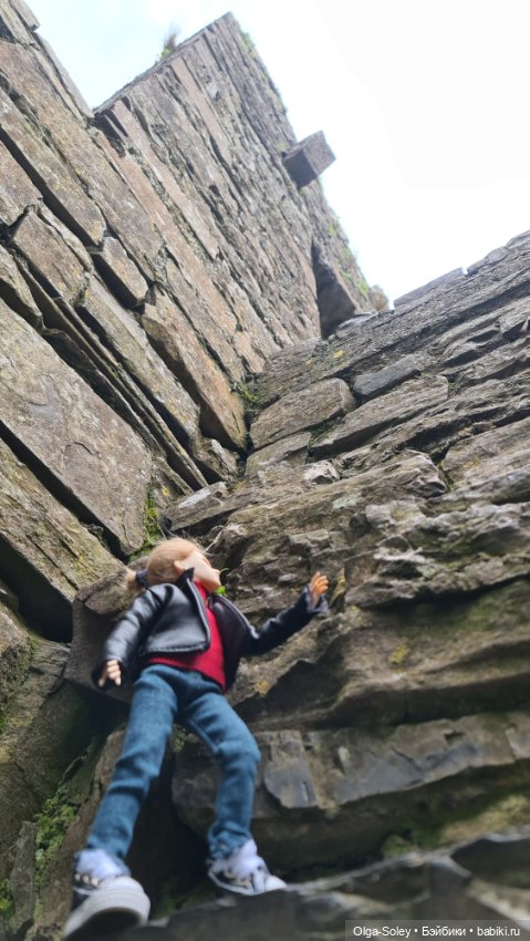 Лео-эмигрант из Поднебесной, на изумрудном острове (фото 3)