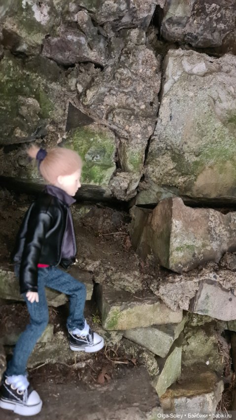 Лео-эмигрант из Поднебесной, на изумрудном острове (фото 4)