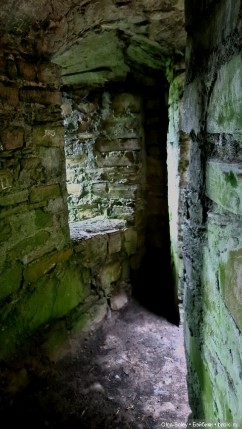 Лео-эмигрант из Поднебесной, на изумрудном острове