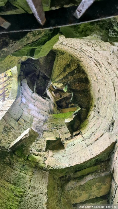 Лео-эмигрант из Поднебесной, на изумрудном острове