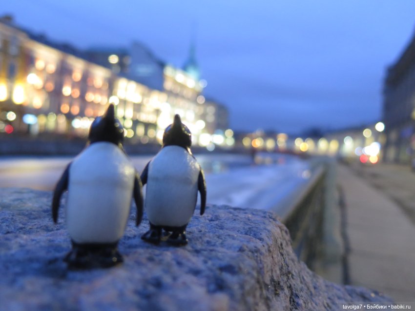 Катрин-Мария с друзьями в Питере