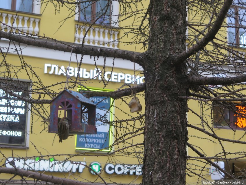 Катрин-Мария с друзьями в Питере