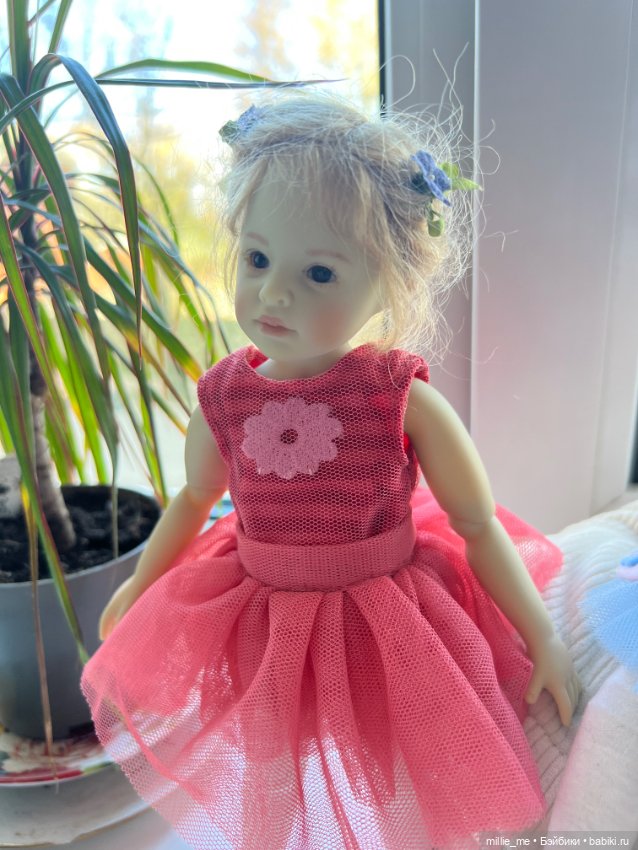 Котёнок встречает сестричку. Кейти и Роми ♥️