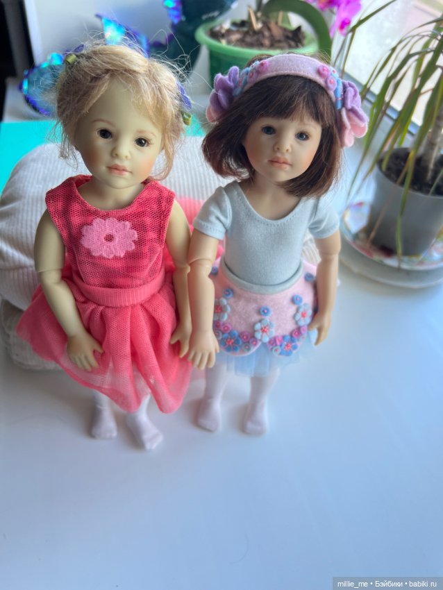 Котёнок встречает сестричку. Кейти и Роми ♥️