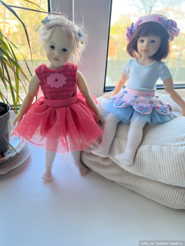 Котёнок встречает сестричку. Кейти и Роми ♥️