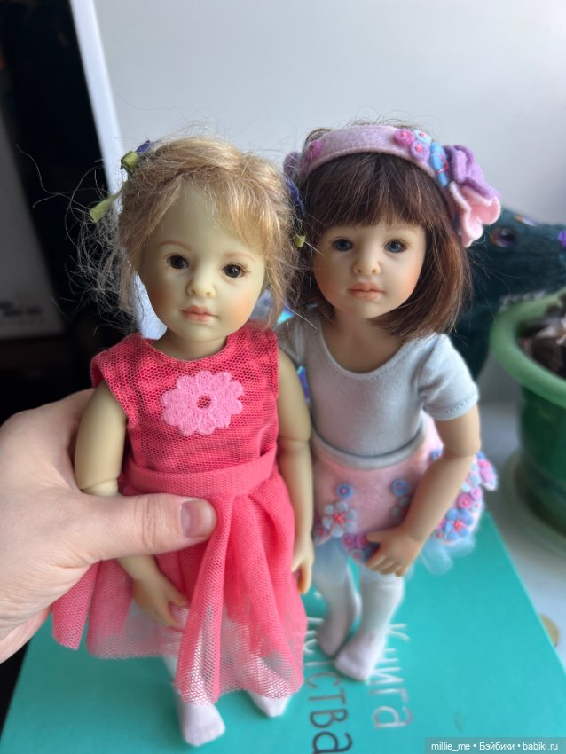 Котёнок встречает сестричку. Кейти и Роми ♥️