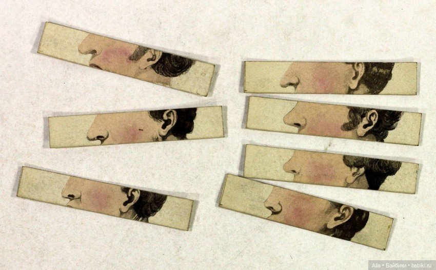 Изменчивые джентльмены и леди (фото 6)