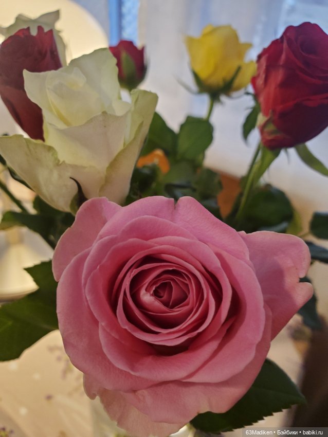 День с Сашей — Куклы Sasha Morgenthaler (Саша Моргенталер): Trendon (фото 2)