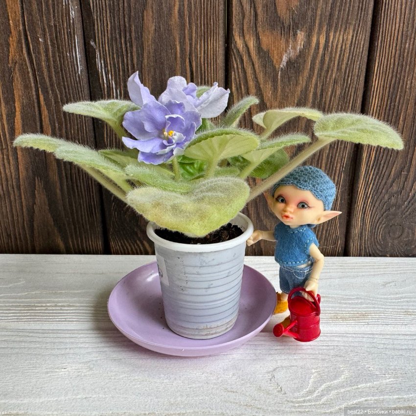 Realpuki Fairyland — Куклы Fairyland (ФэйриЛэнд): BJD (БЖД) (фото 4)