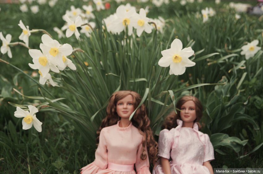 Пойдёмте в сад, я покажу Вас розам