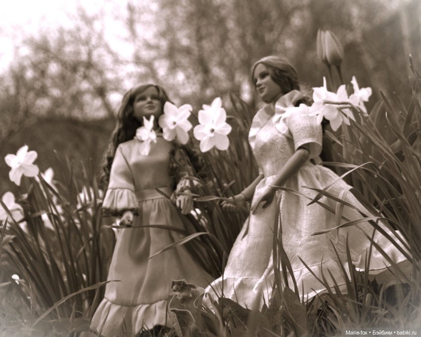 Пойдёмте в сад, я покажу Вас розам