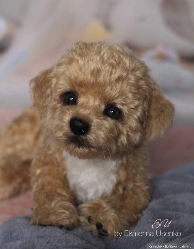 И снова мальтипу — Авторские мишки Тедди и друзья: фото