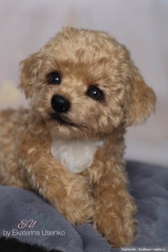 И снова мальтипу — Авторские мишки Тедди и друзья: фото (фото 10)