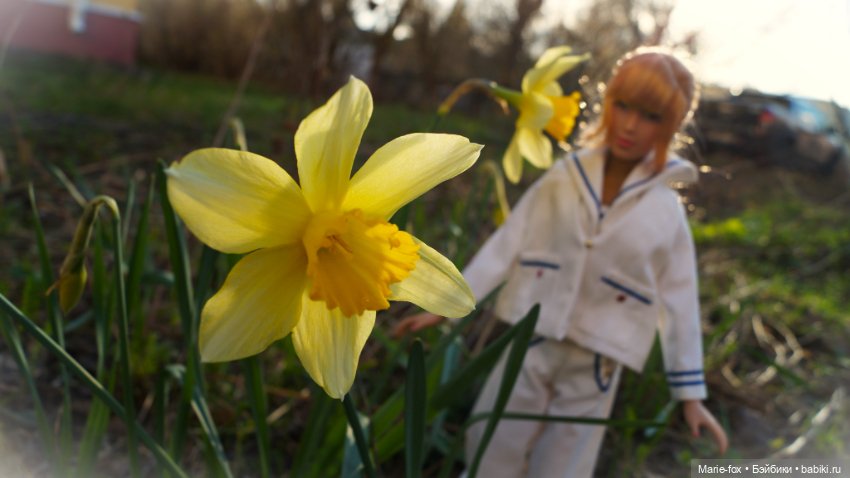 Весенние прогулки Александры